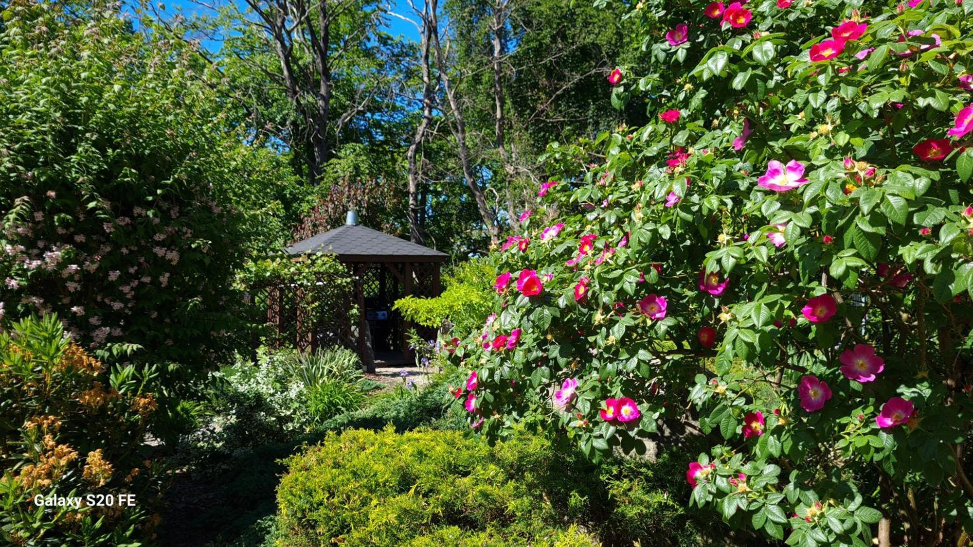 Bed and Breakfast Dom Na Bukowym Wzgorzu Wicko  Екстер'єр фото